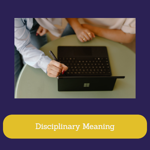 disciplinary-disciplinary-meaning